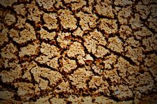 Texture Of Dry Crack Soil Stock Images