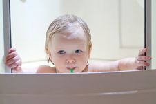 Adorable Baby Brushing Teeth Sitting In Shower Stock Photo Adorable Baby Brushing Teeth Sitting In Shower Stock Photo