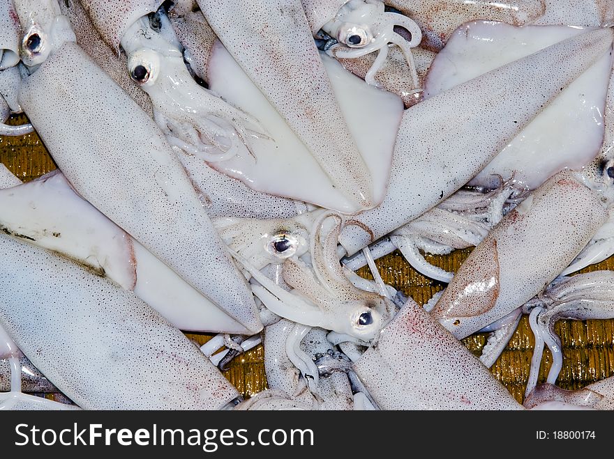 Catch of cuttlefish on a fishmonglers table at a market in Muscat, Sultanate of Oman