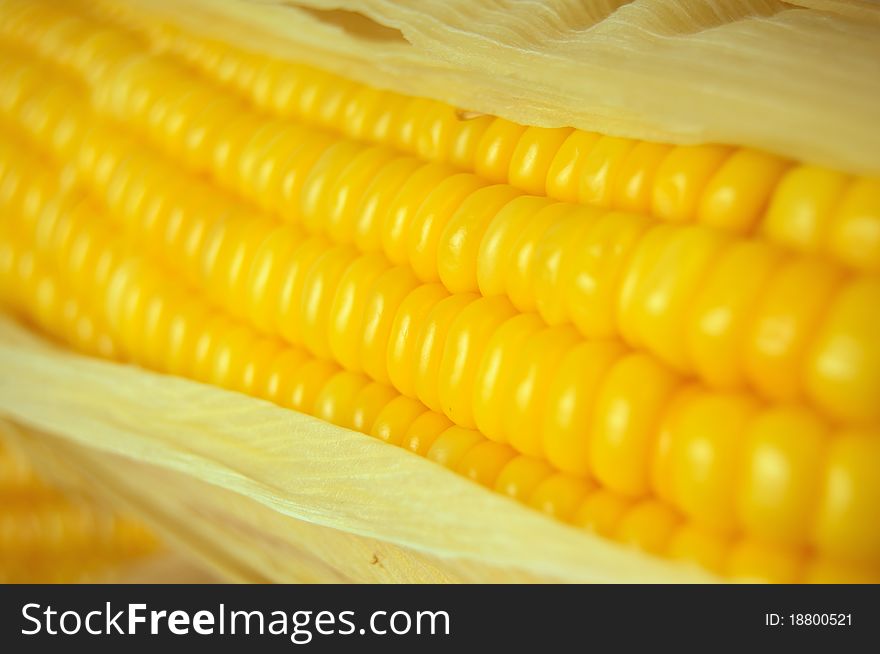 Close up of a corn. Close up of a corn