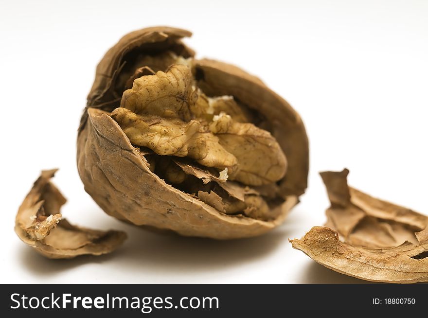 Walnut shell cracked on white background