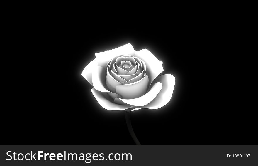 White rose isolated on black background and black stem