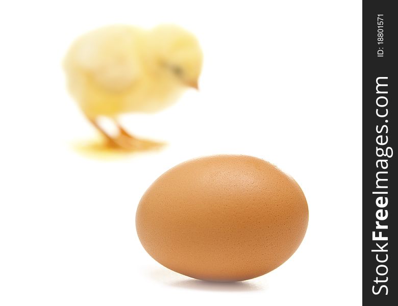 Isolated egg and a chicken in back