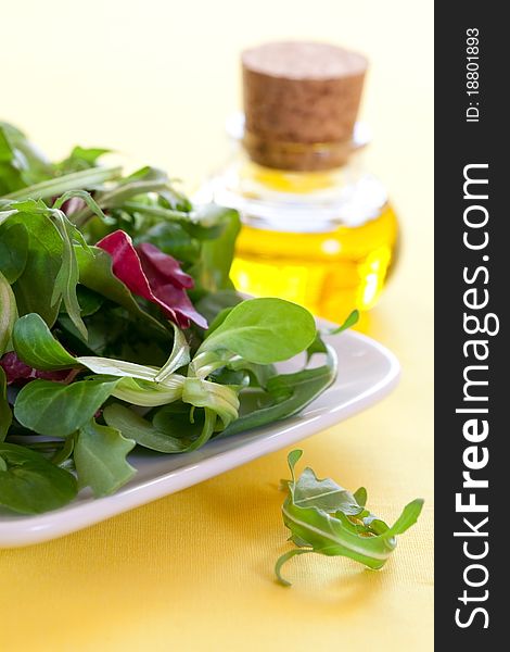 Fresh green salad on a plate