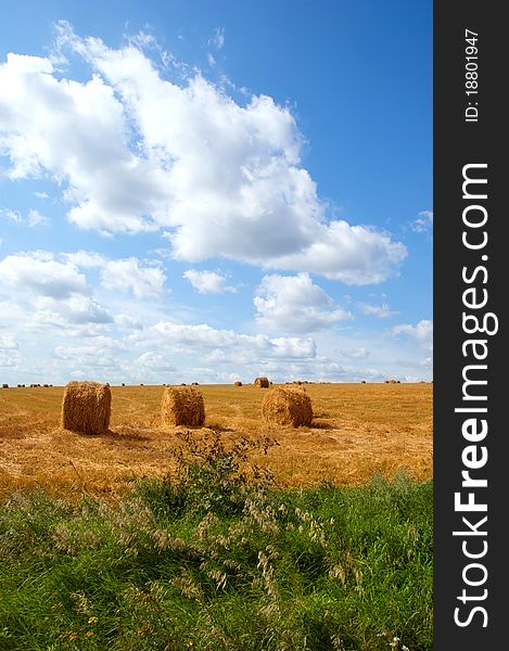 Field with hay or straw bales. Rural landscape