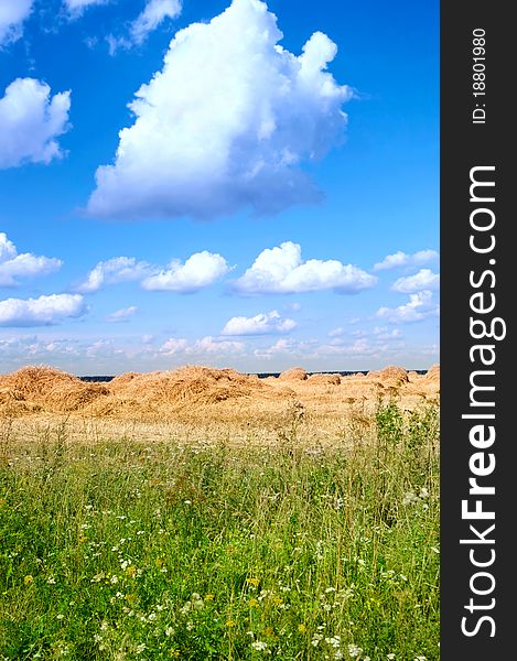 Field with straw bales