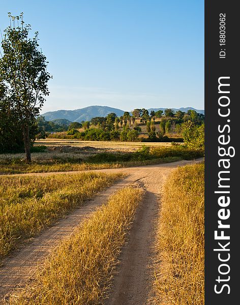 Country road with dry grasses in the Northern of Thailand. Country road with dry grasses in the Northern of Thailand