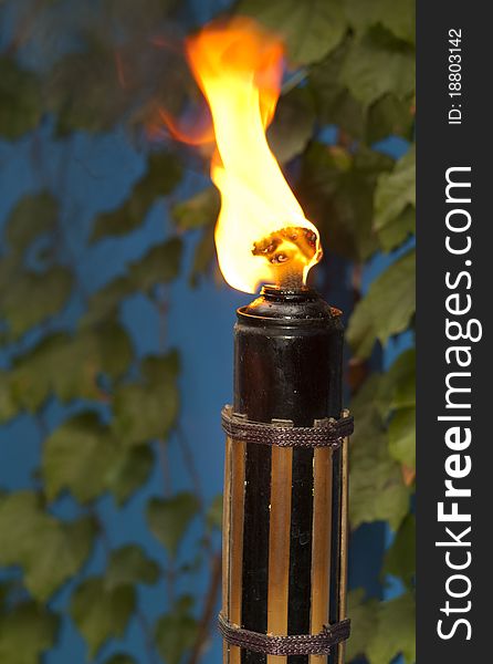 Outdoor torch
