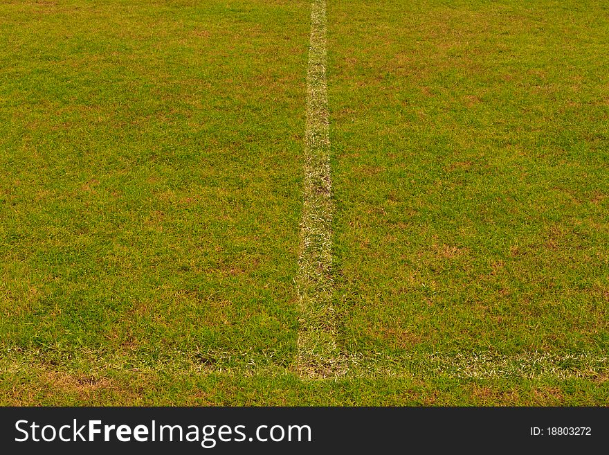 Grass Field With White Line