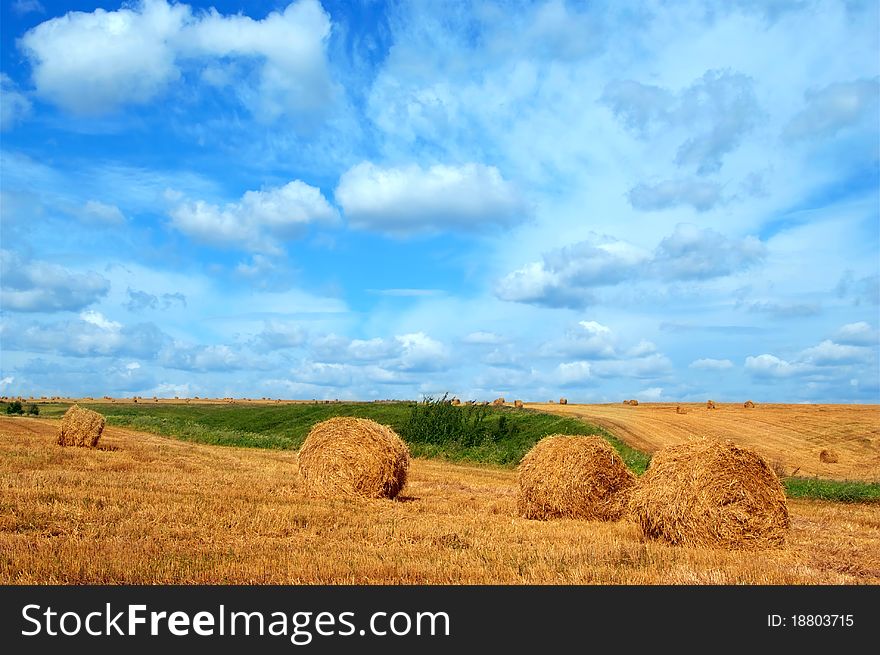 Field With Straw Bales
