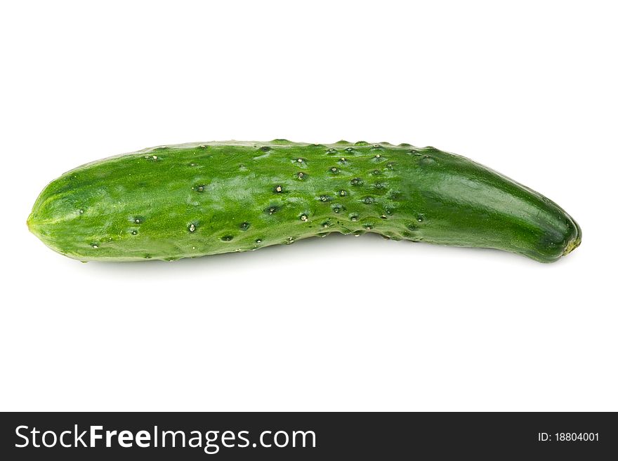 One fresh green cucumber isolated on a white background