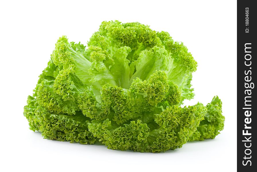 Fresh lettuce isolated on white background