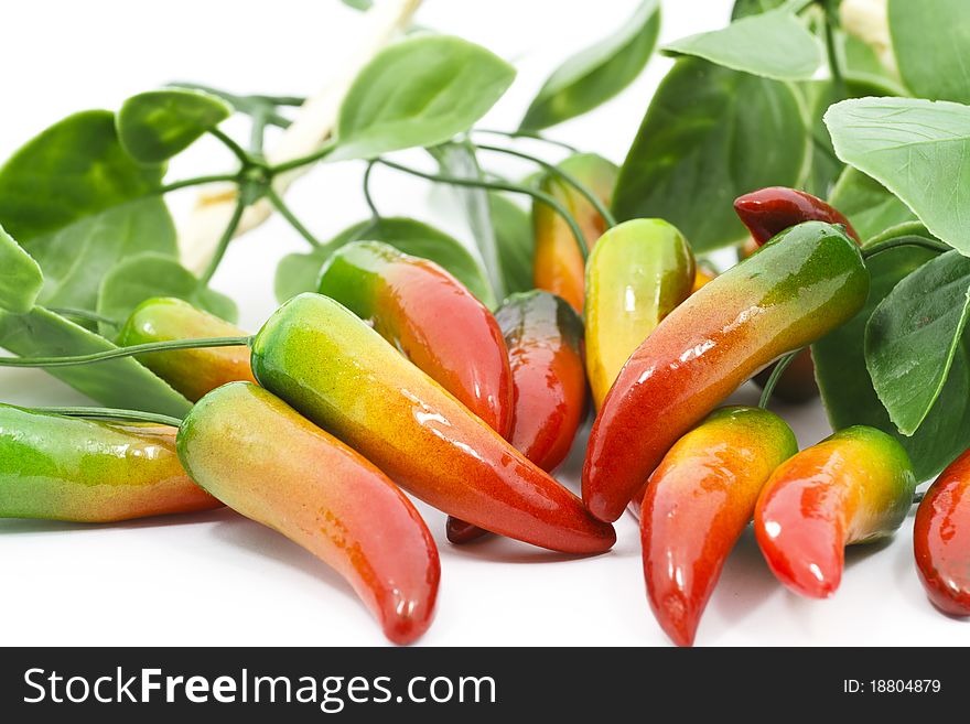 Chili peppers isolated on white background. Chili peppers isolated on white background