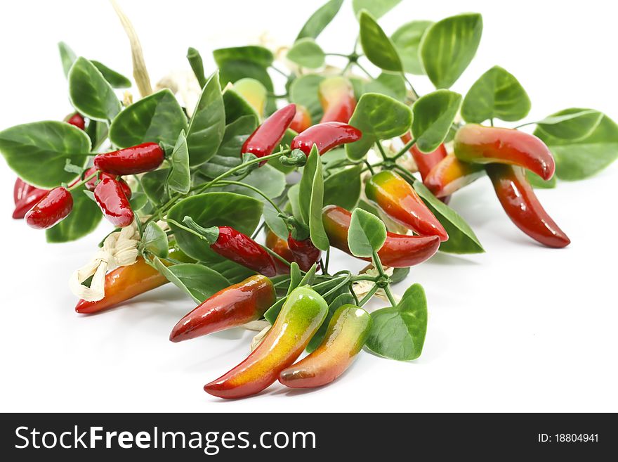 Chili peppers isolated on white background. Chili peppers isolated on white background