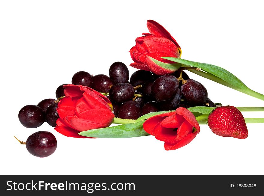 Fruit, berries and flowers on the white background