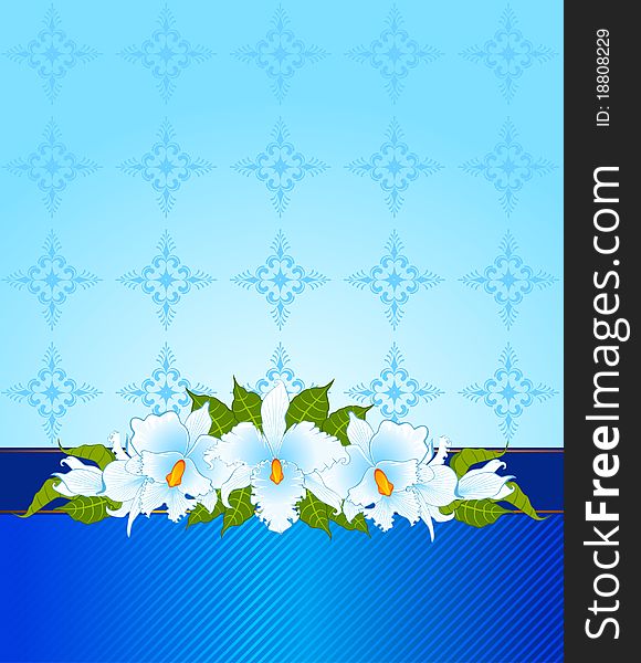 Background with beautiful flowers for a design