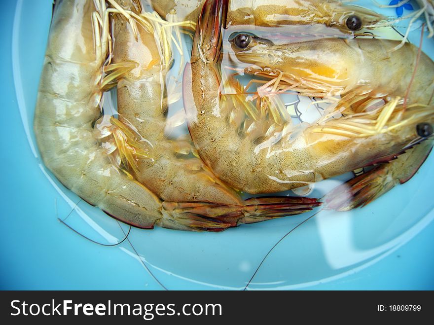 Shrimp, big shrimp, is one of the people like to eat seafood.