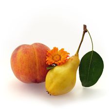 Peach, Pear And Orange Kalendula Royalty Free Stock Image