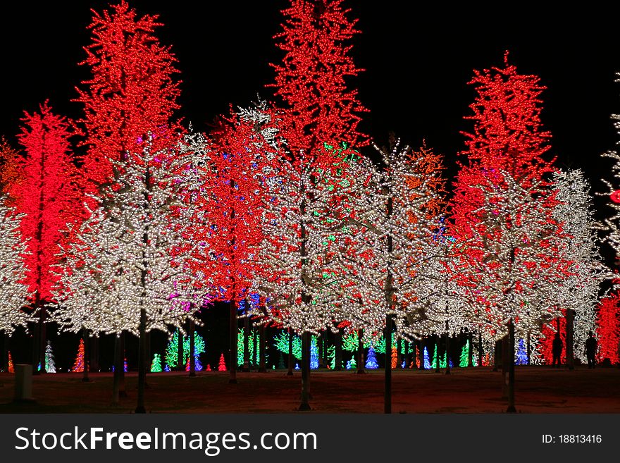 Artificial Light Trees