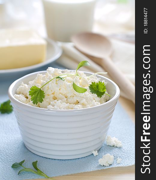Cottage cheese in bowl with other dairy product on background