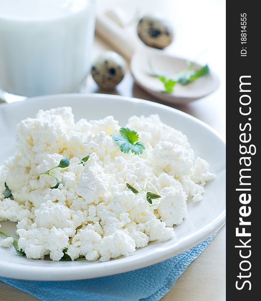Cottage cheese in bowl. Healthy food