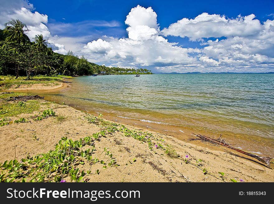 Untouched seacoast on landscape land