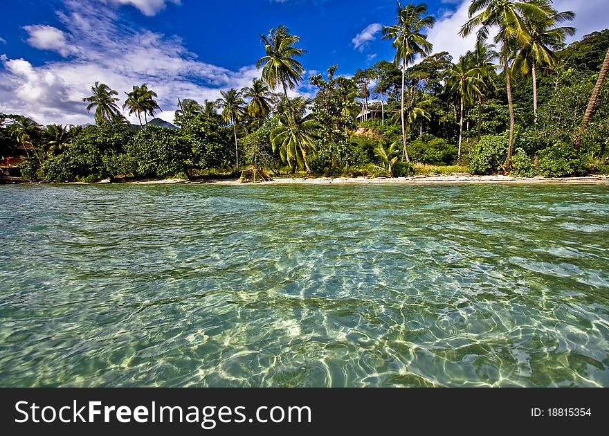 Sandy beach with palms thailand