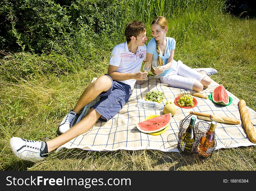 Smiling young couple at a picnic