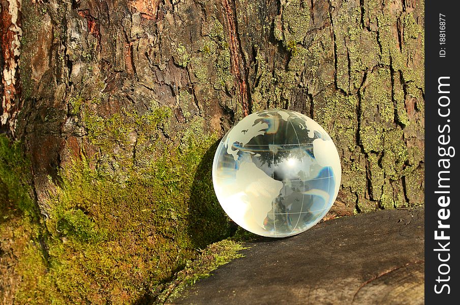 Glass planet in a tree with moss
