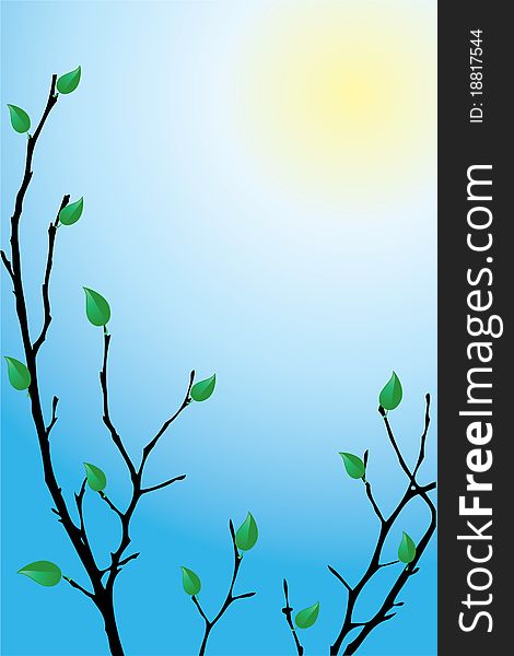 Tree with budding green leaves on a sunny background. Tree with budding green leaves on a sunny background.