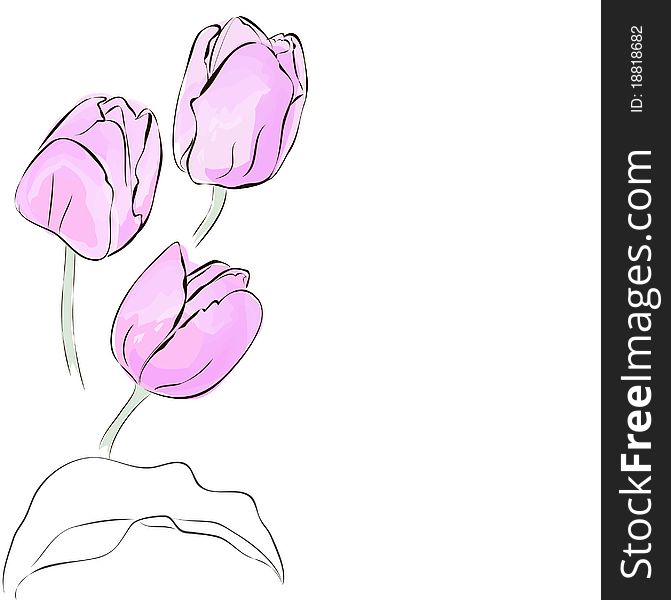 Tulips.Vector greeting card. Mother's Day