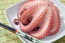 Octopus Royalty Free Stock Images Octopus Royalty Free Stock Images
