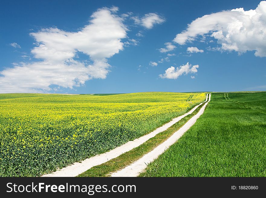 Path on summer field in village, country landscape