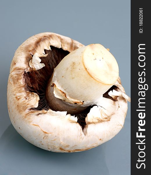 Champignon