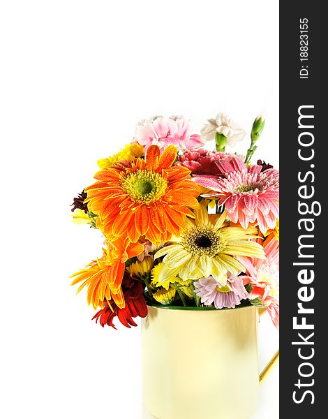 Gerbera in vase on white background