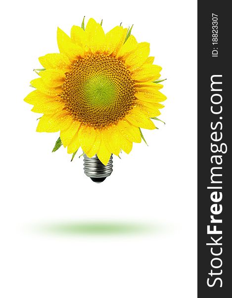 A ECO sun flower light. A ECO sun flower light
