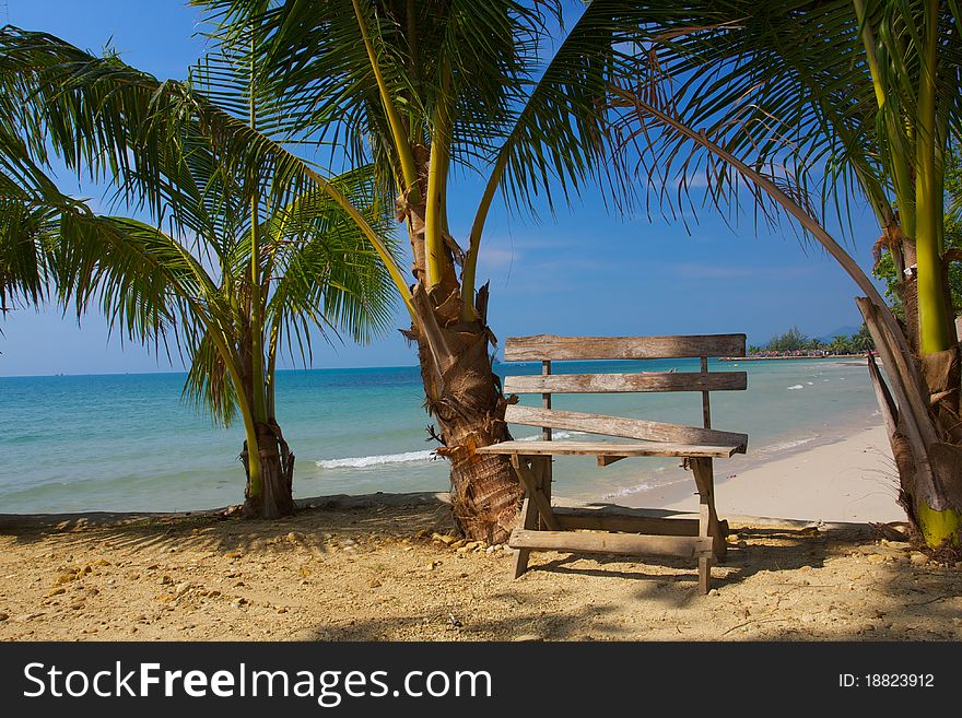 The old bench is against the backdrop of magnificent beaches, around grow three young palm trees in the background of a beautiful blue sky and the ocean. The old bench is against the backdrop of magnificent beaches, around grow three young palm trees in the background of a beautiful blue sky and the ocean