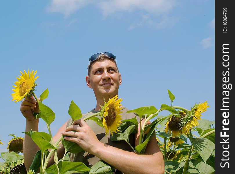 Man in the field of sunflowers