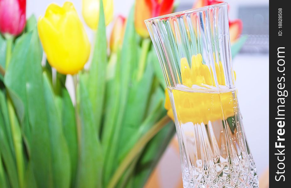 Glasses of champagne, tulips flowers . Glasses of champagne, tulips flowers .