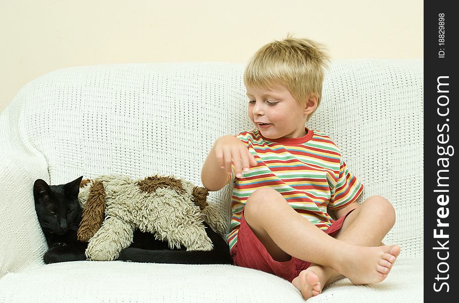 Family Cat shows patience as young child tries to taunt him with a cuddly toy. Family Cat shows patience as young child tries to taunt him with a cuddly toy.