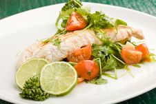 Grilled Chicken Breast With Salad Royalty Free Stock Photos Grilled Chicken Breast With Salad Royalty Free Stock Photos