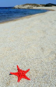 Red Sea Star On Beach Royalty Free Stock Photos Red Sea Star On Beach Royalty Free Stock Photos