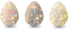 Easter Eggs With Floral Ornaments Stock Image