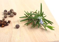 Various Spices Royalty Free Stock Photography Various Spices Royalty Free Stock Photography