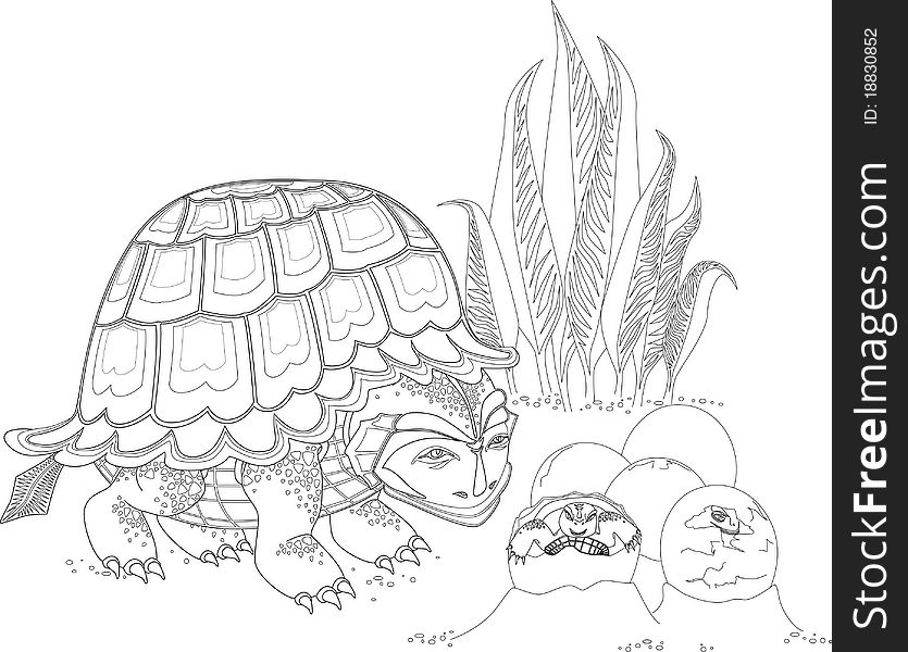 Big turtle is looking at the eggs from which come her cubs. Big turtle is looking at the eggs from which come her cubs