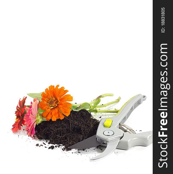 A tool for home gardening on white