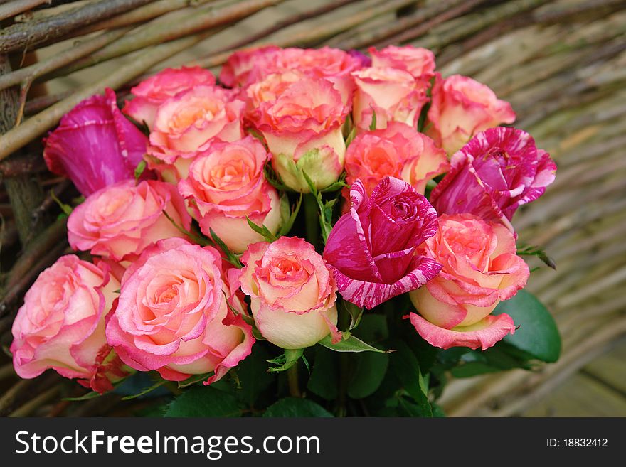 Luxurious bouquet of roses against a background of woven fence. Luxurious bouquet of roses against a background of woven fence