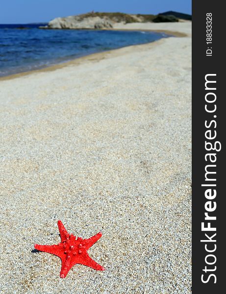 Red Sea Star On Beach