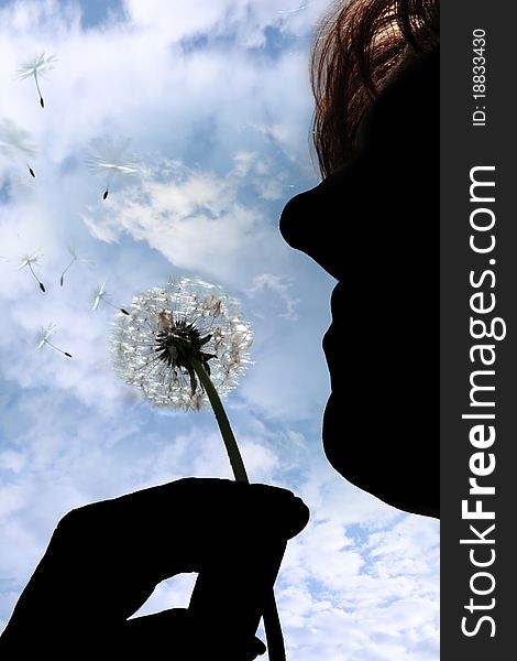 A silhouetted beautiful dandelion being gently blown by a middle aged woman in a garden against a cloudy sky. A silhouetted beautiful dandelion being gently blown by a middle aged woman in a garden against a cloudy sky