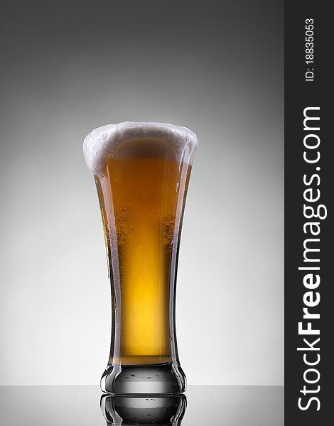 Beer in glass on thr white background